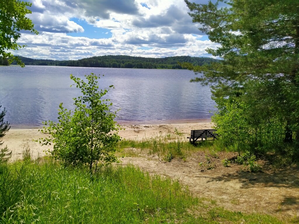 Фото из отзыва от 21.06.2024