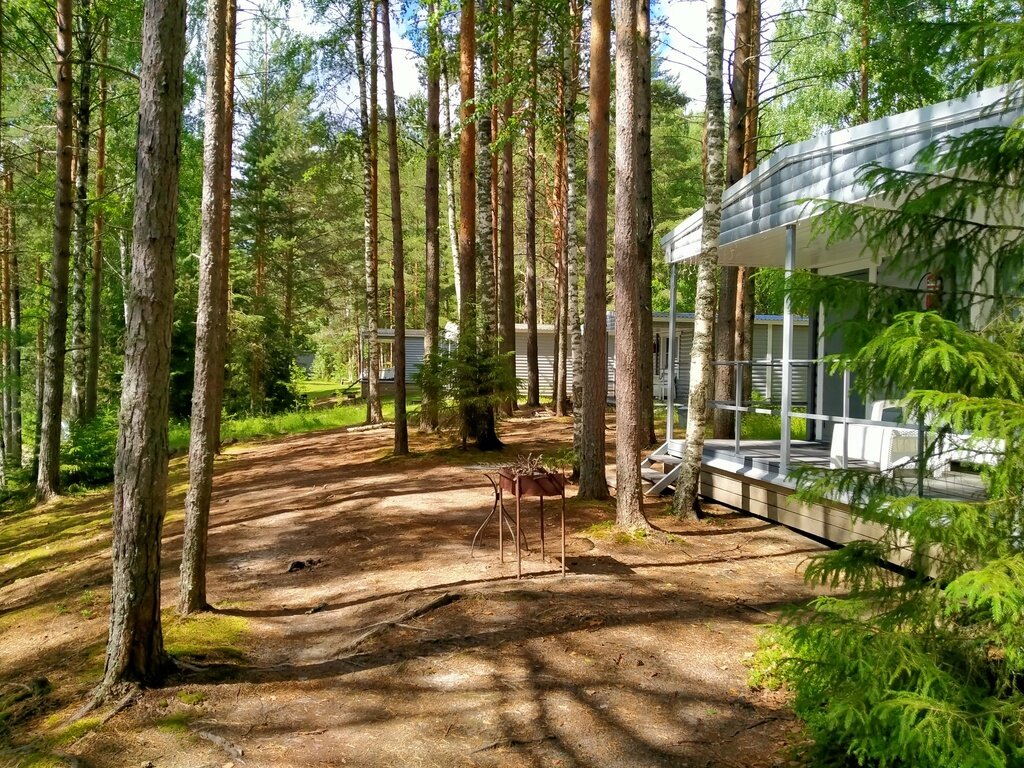 Фото из отзыва от 21.06.2024