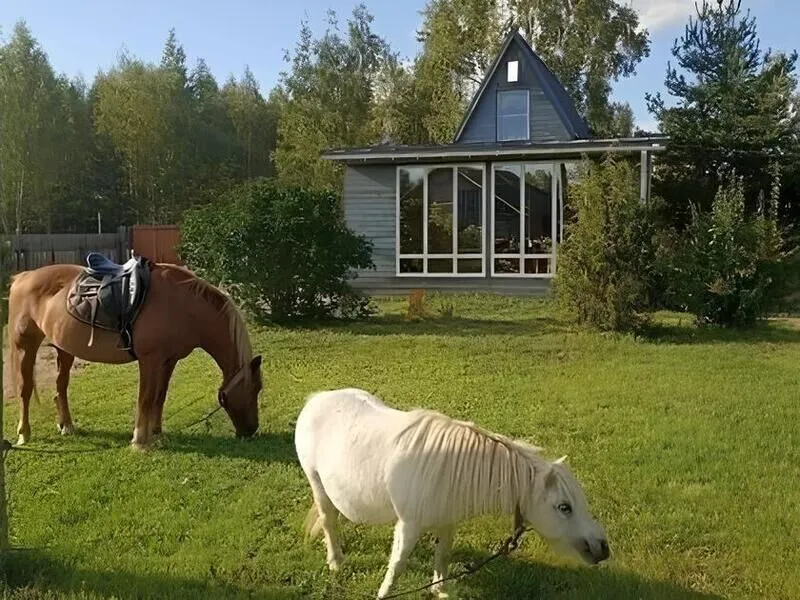 в Экопарке Акулово д. Ново, Ярославская область: фото 3