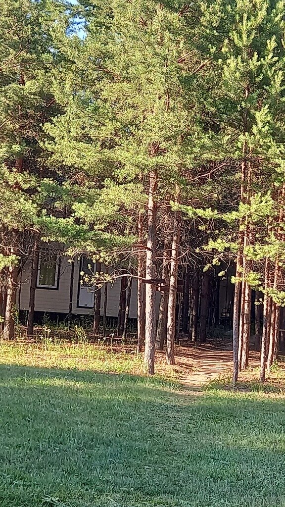 Фото из отзыва от 28.06.2024