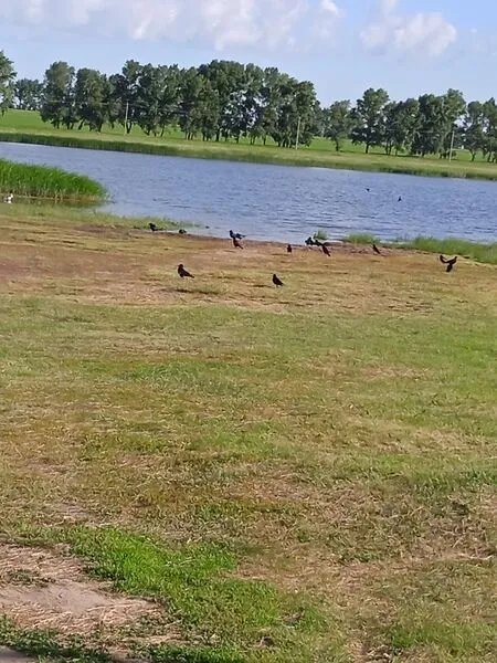 Фото 1 из отзыва о базе отдыха Маяк