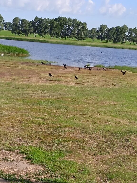 Фото из отзыва от 17.06.2024