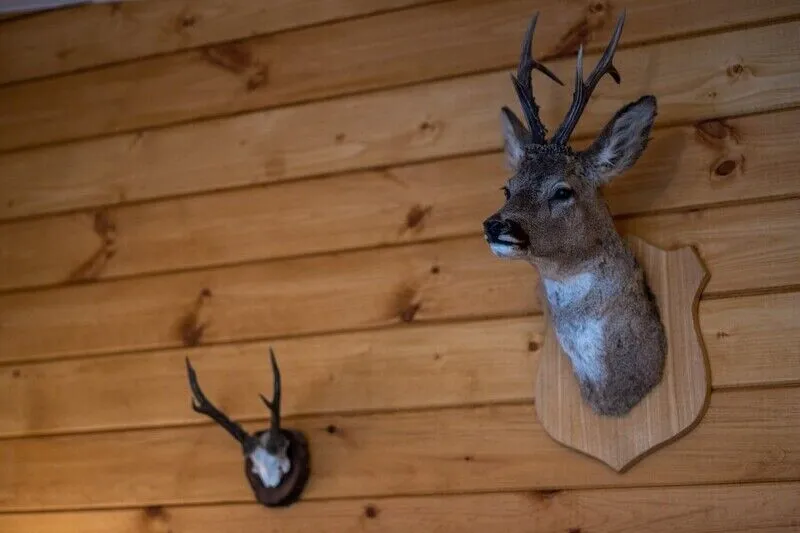 Коттедж 2-местный (Тристан)