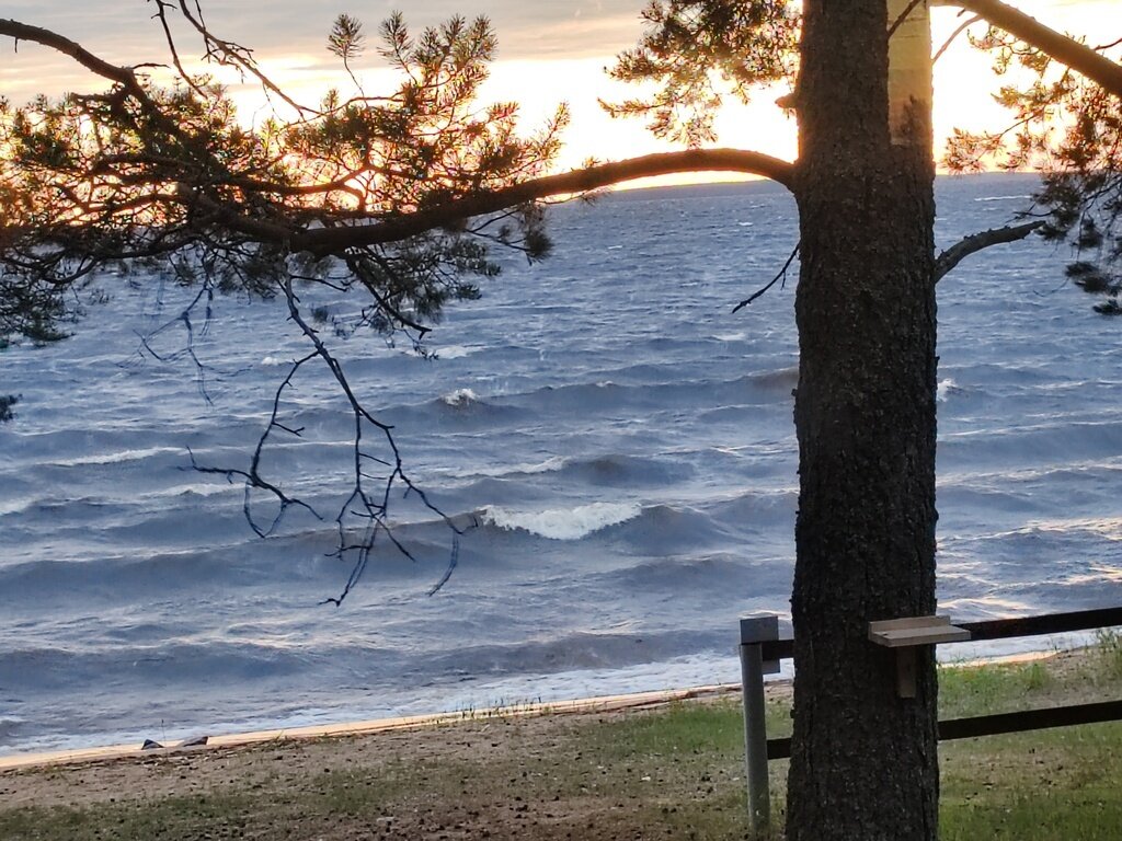 Фото из отзыва от 21.06.2024