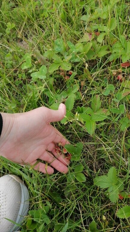 Фото из отзыва от 01.07.2024