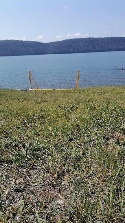 Фото из отзыва от 01.07.2024