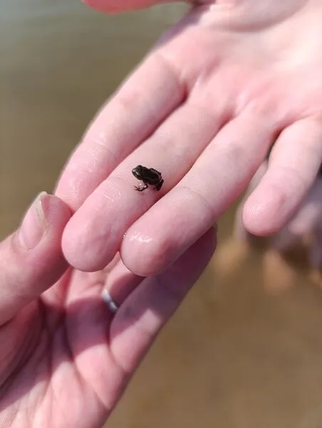 Фото 4 из отзыва о базе отдыха Парк отдыха Белогорье