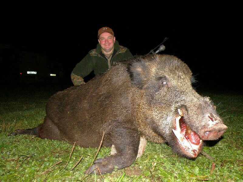 охотничьи трофеи