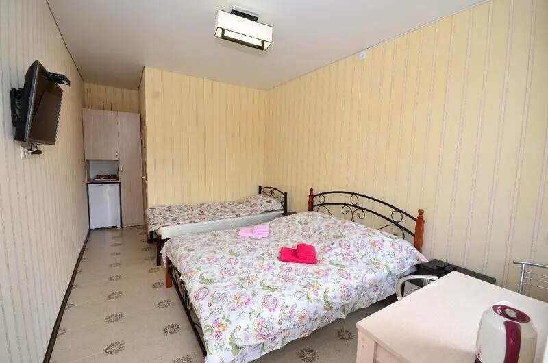 Стандартный 3-местный 1-комнатный