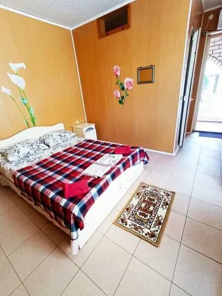 WhatsApp Image 2024-05-31 at 19.06.01