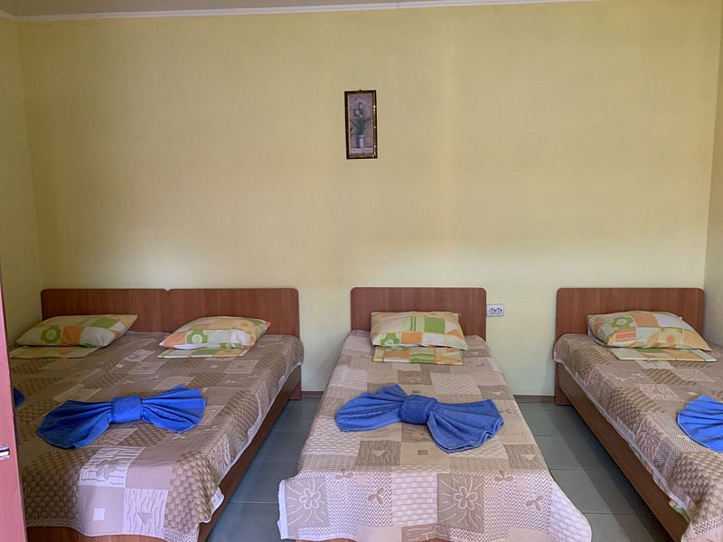 Стандартный 4-местный 1-комнатный (1 корпус) (3)