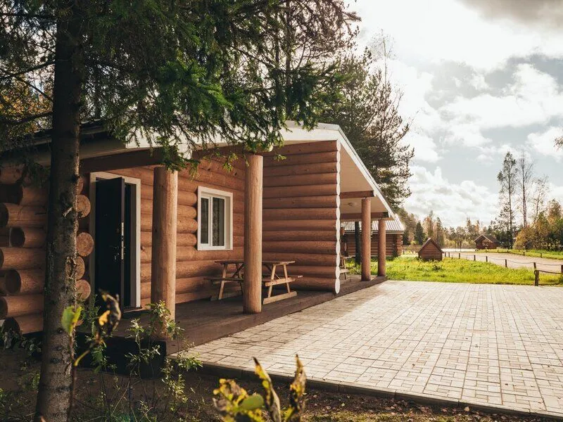 Пикник, Ленинградская область: фото 2