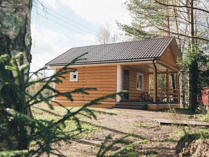 Пикник, Ленинградская область: фото 4