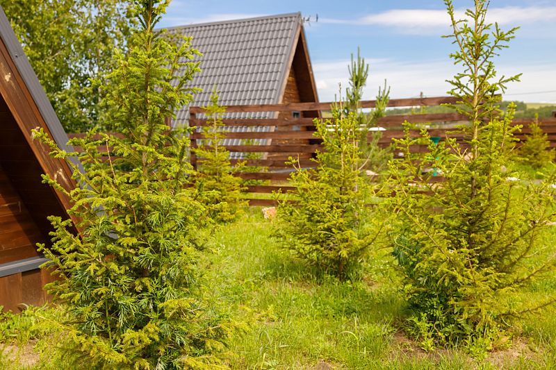 Домик 2-местный (Радость)