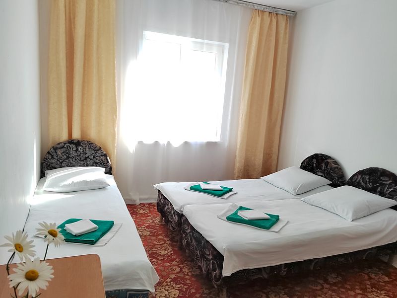 Эконом 3-местный