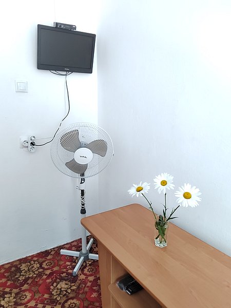 Эконом 3-местный