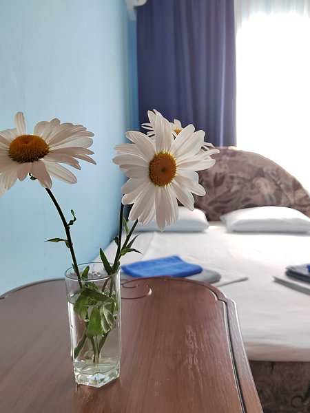 Эконом 4-местный Улучшенный