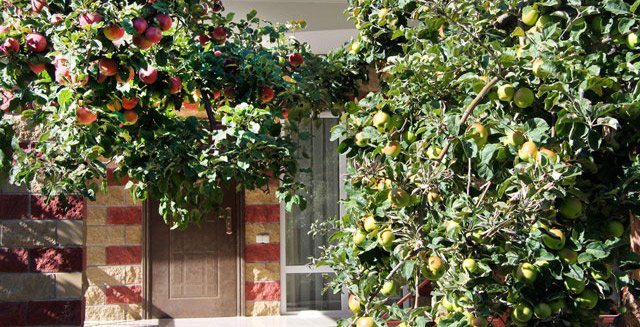 Стандартный 2-местный 1-комнатный (коттедж Орион)