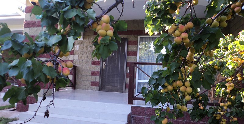 Стандартный 2-местный 1-комнатный (коттедж Орион)