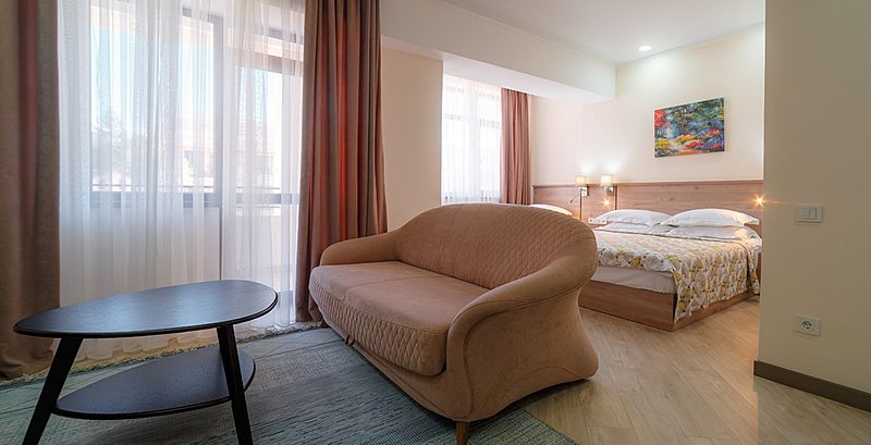 Стандартный 3-местный 1-комнатный (Амели)