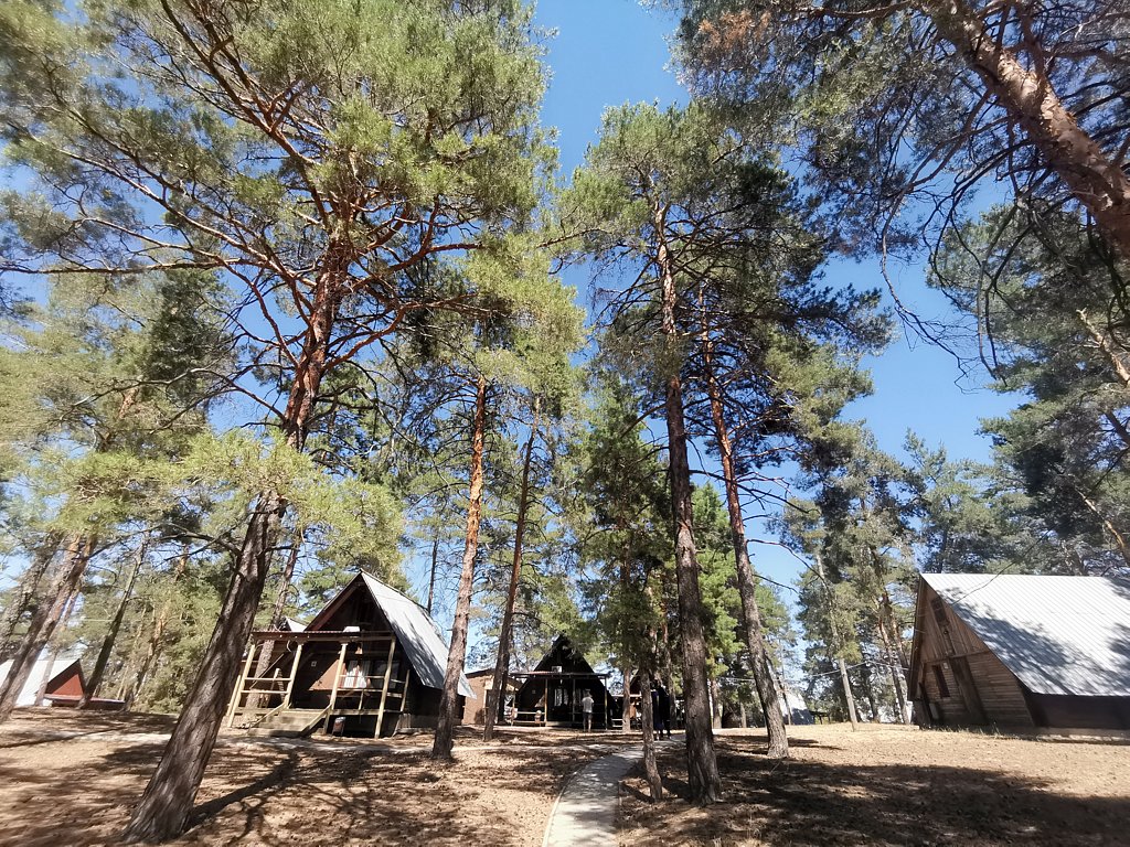 Фото из отзыва от 13.07.2024