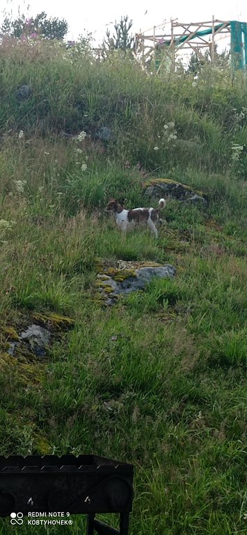 Фото из отзыва от 11.07.2024