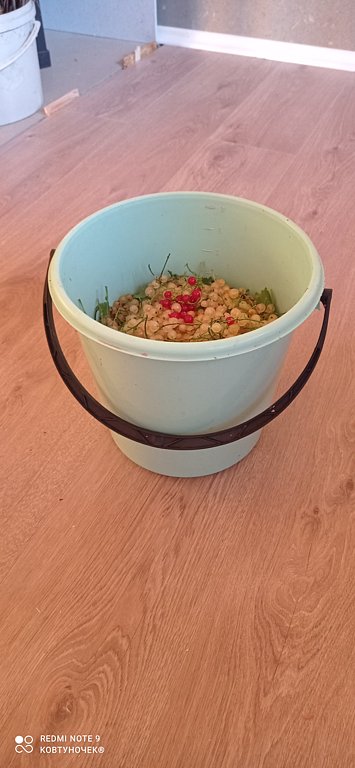 Фото из отзыва от 11.07.2024