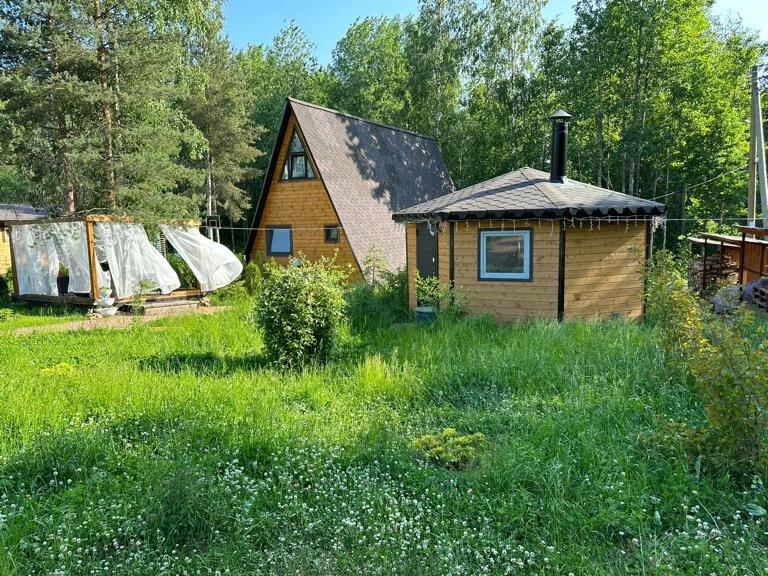 Рай в шалаше, Ленинградская область: фото 2