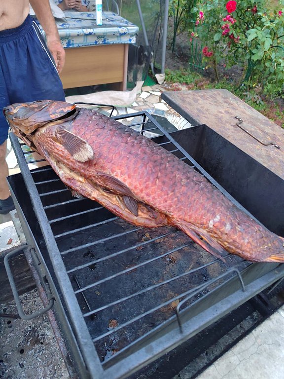 Фото из отзыва от 10.07.2024