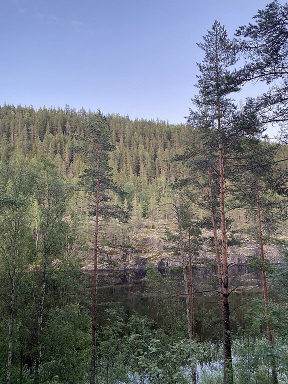 Фото из отзыва от 15.07.2024