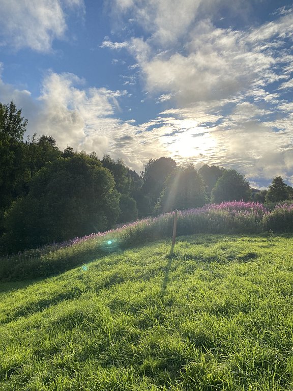 Фото из отзыва от 15.07.2024