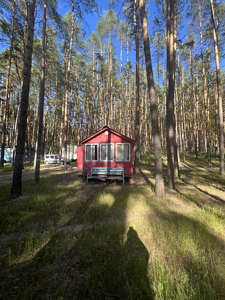 Шелангуш, Республика Марий Эл: фото 2