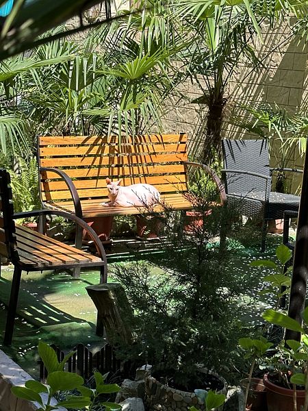 АнжеликА, Краснодарский край: фото 5