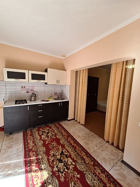 Студио 4-местный 1-комнатный (с кухней)