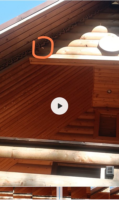 Фото из отзыва от 25.07.2024