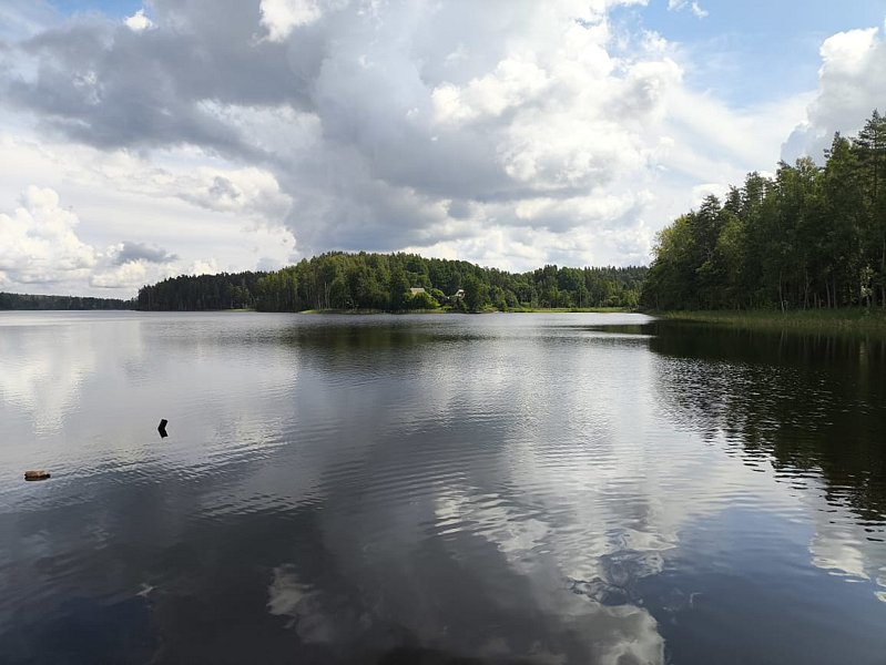 Фото 1 из отзыва о базе отдыха Заветное