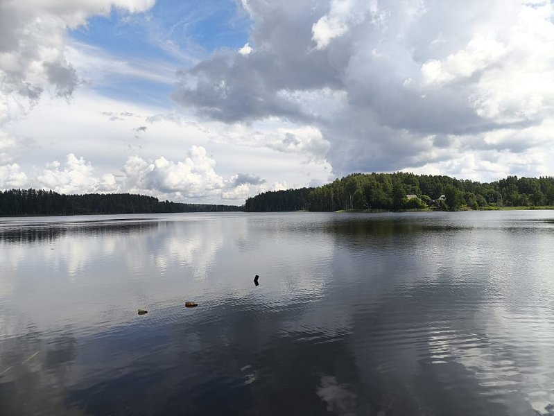 Фото 2 из отзыва о базе отдыха Заветное