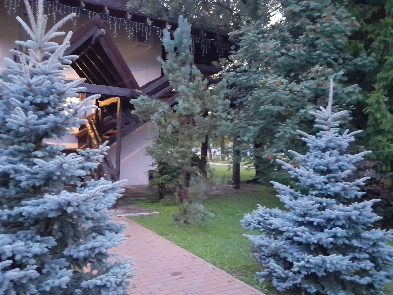 Фото 12 из отзыва о парк-отеле Фестиваль