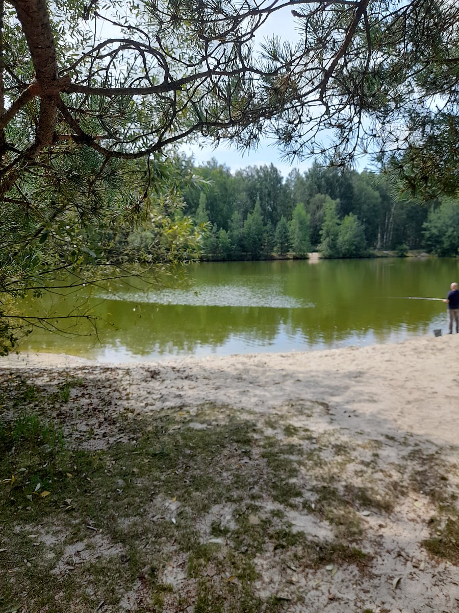 Фото 6 из отзыва о парк-отеле Фестиваль