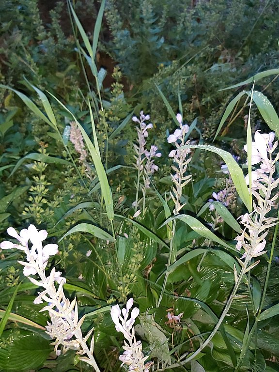 Фото из отзыва от 28.07.2024