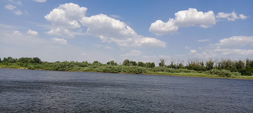 Фото из отзыва от 29.07.2024