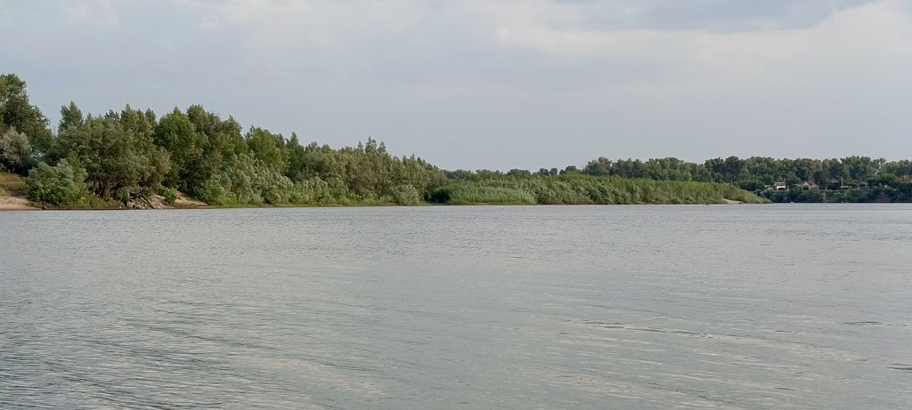 Фото из отзыва от 29.07.2024