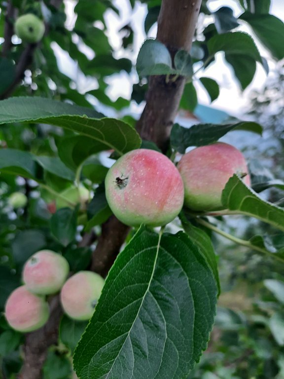 Фото из отзыва от 28.07.2024