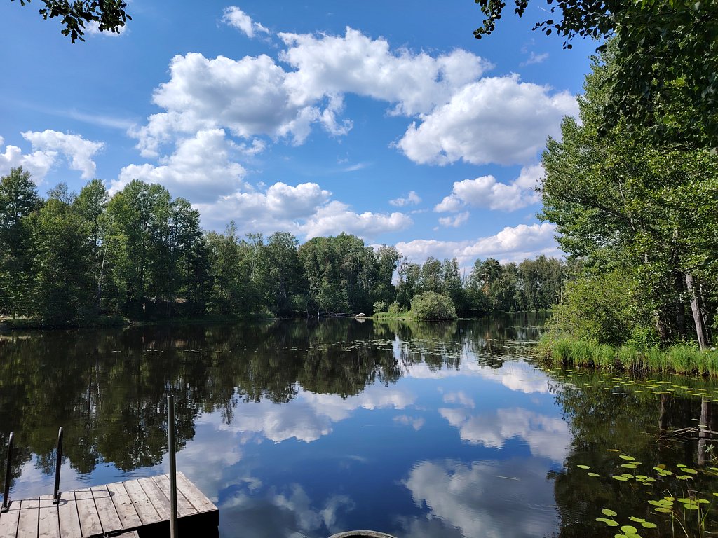 Фото из отзыва от 22.07.2024