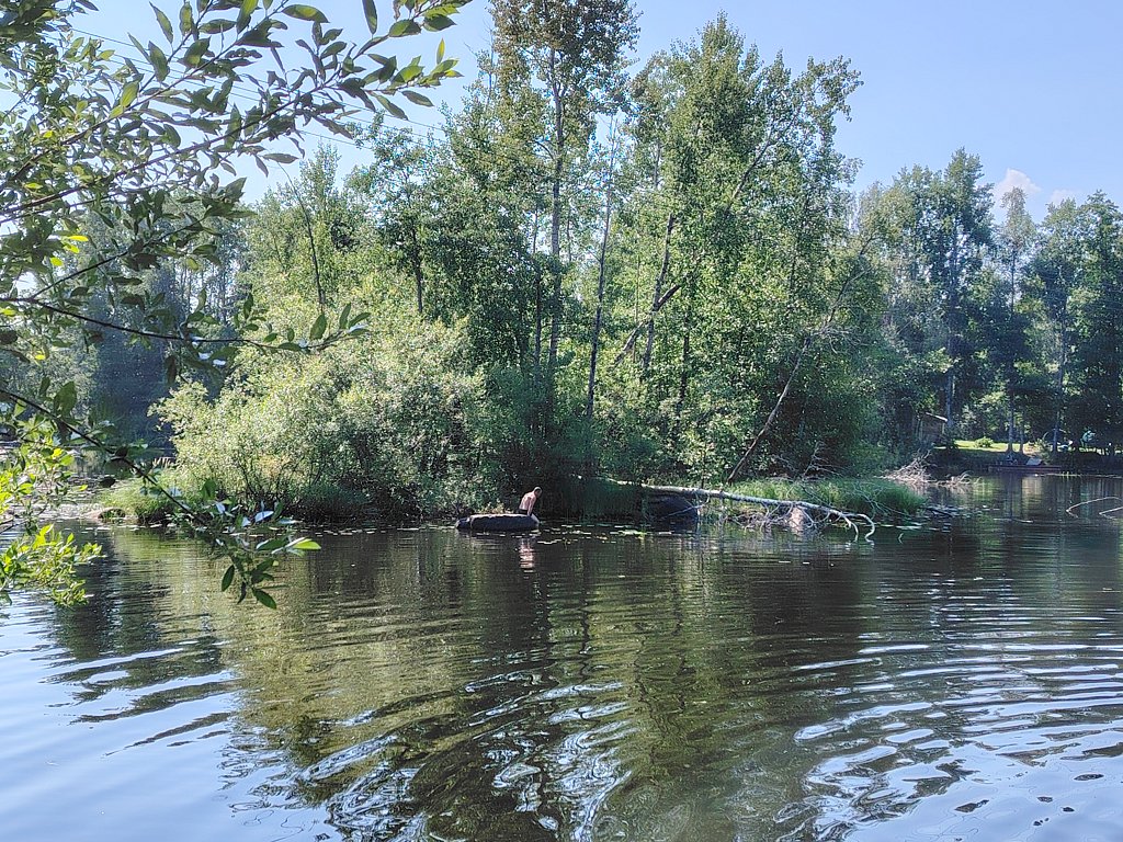 Фото из отзыва от 22.07.2024