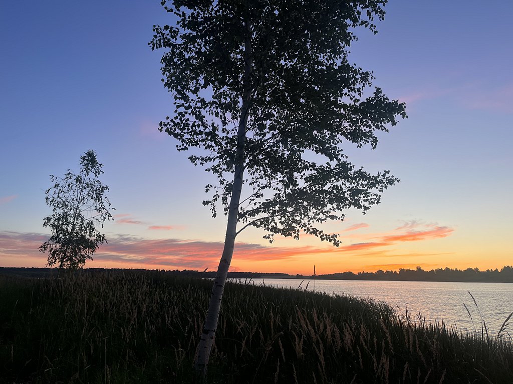 Фото из отзыва от 06.07.2024