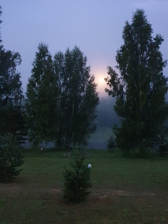 Фото из отзыва от 21.07.2024