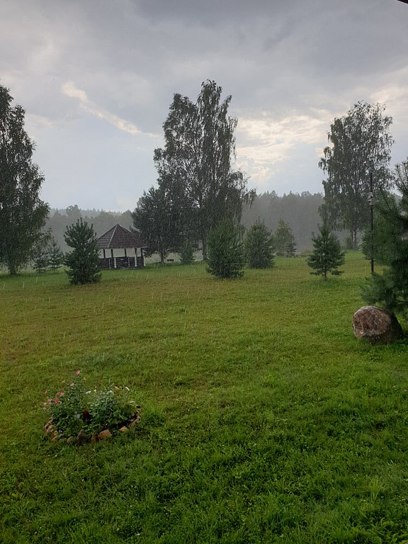 Фото из отзыва от 21.07.2024