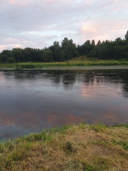 Фото 8 из отзыва о базе отдыха Верхненикольское