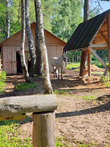 Фото 9 из отзыва о базе отдыха Верхненикольское